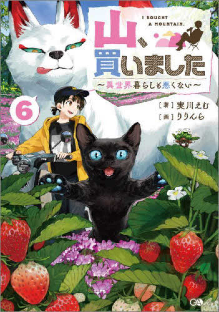 山、買いました　６