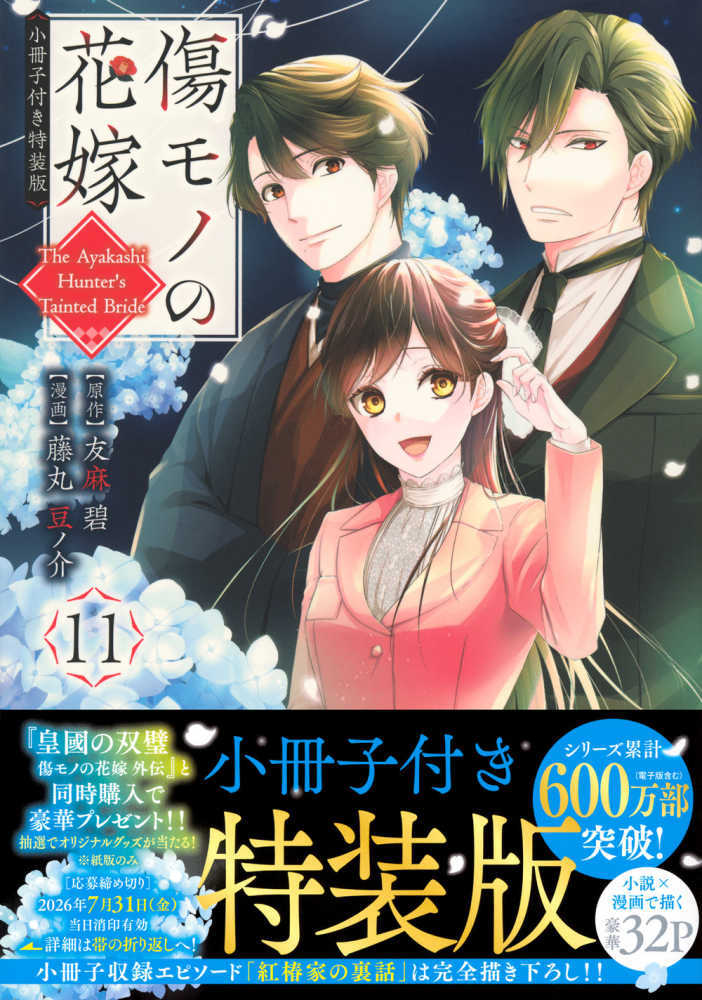 傷モノの花嫁　１１　特装版