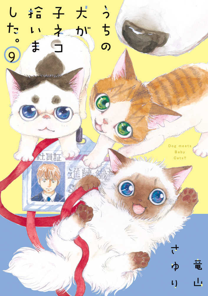 うちの犬が子ネコ拾いました。　９